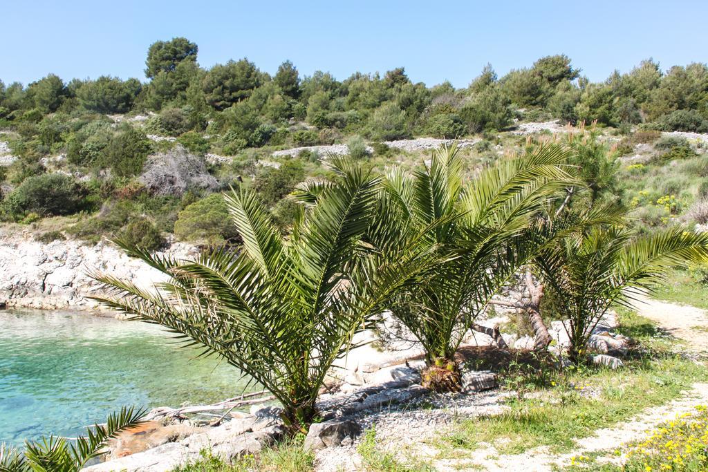 Vila Tatinja Trogir Exterior foto